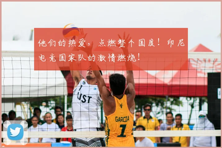 他们的热爱，点燃整个国度！印尼电竞国家队的激情燃烧！