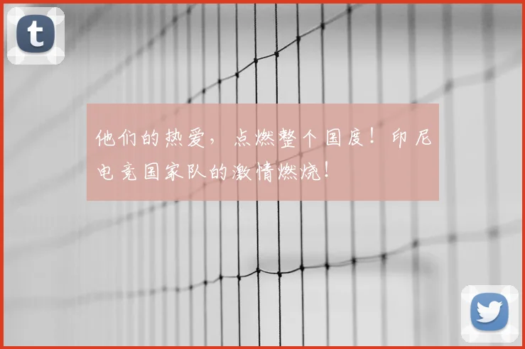 他们的热爱，点燃整个国度！印尼电竞国家队的激情燃烧！